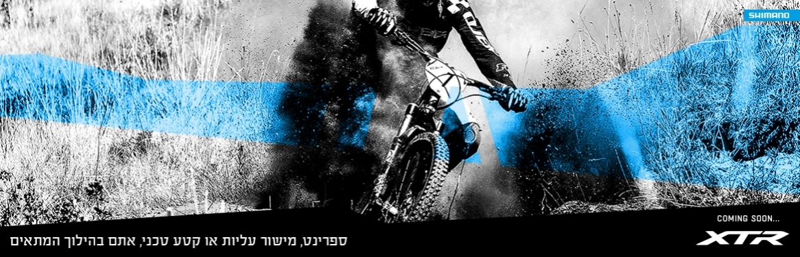 מעבירים קדמיים