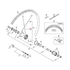 (WH7801C) Rear Right Spoke w/ Washer for Carbon